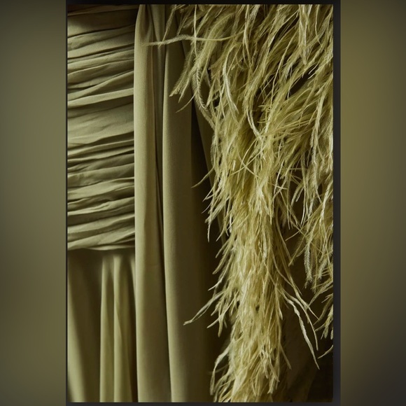 BRONX AND BANCO
Geisha Feather-cuff Gown in Chiffon - Picture 5 of 12